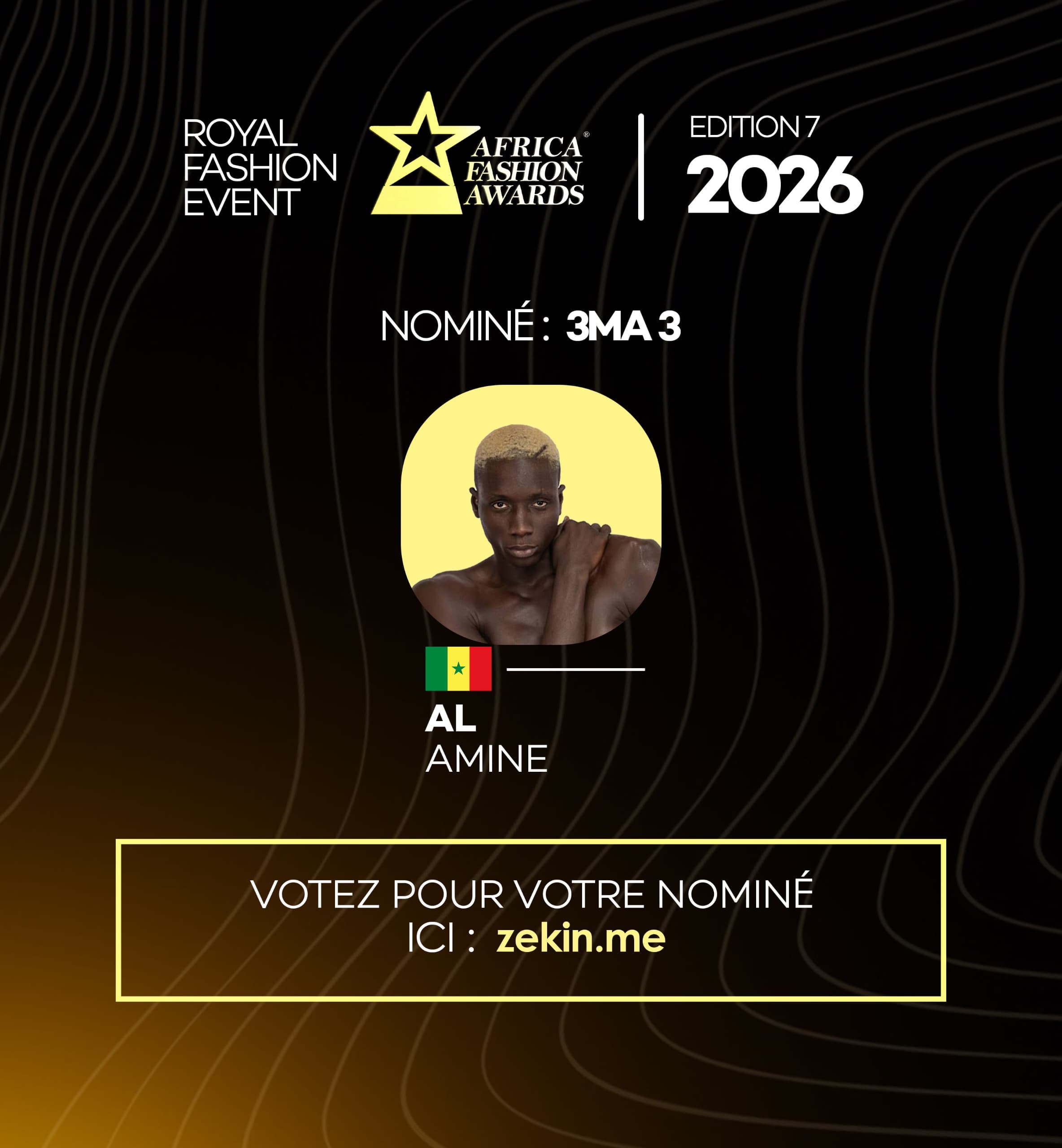 Africa Fashion Award