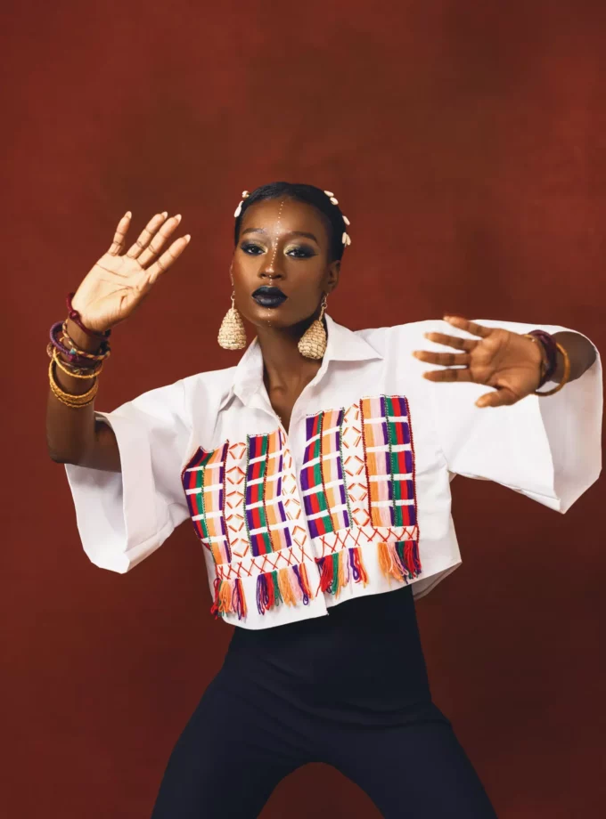Fulani Hand Embroidered Crop Top